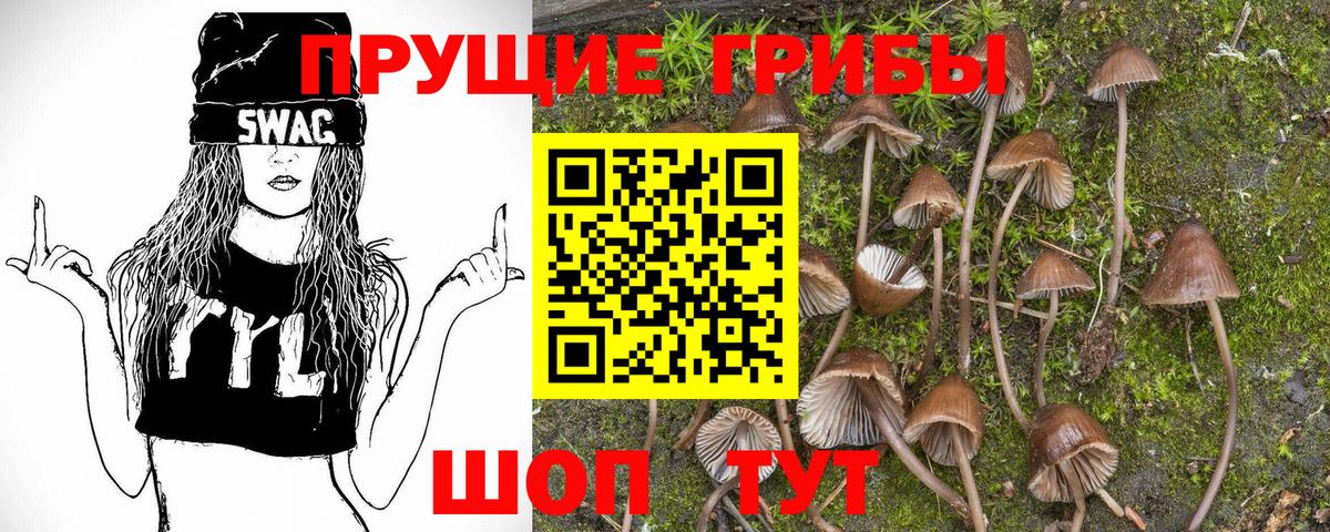 Светлоград  Галлюциногенные грибы Psilocybe  Псилоцибиновые грибы ЛСД  Вход с VPN 
