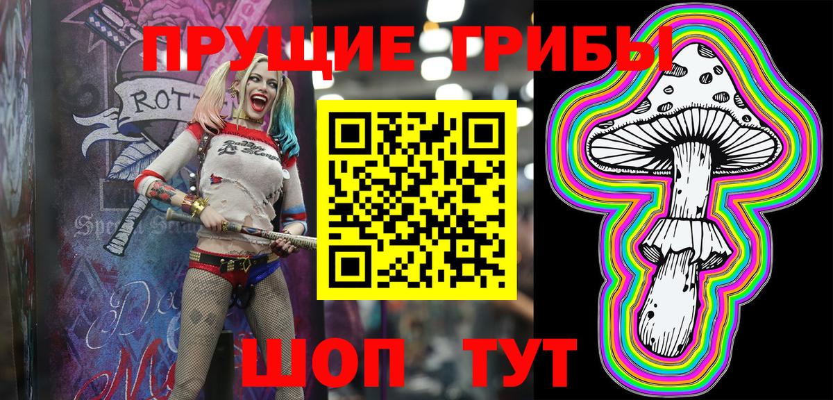 Псилоцибиновые грибы Psilocybine cubensis Светлоград